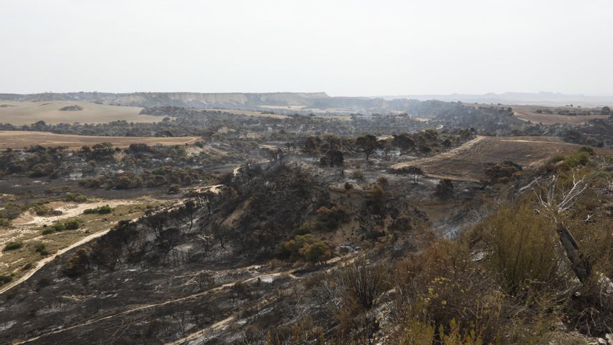 Incendios.- Bomberos prevén extinguir en próximas horas el fuego del Vedado (Navarra) si las condiciones lo permiten