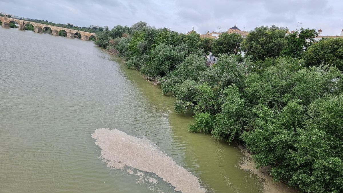 Manchas en el Guadalquivir este mismo martes.