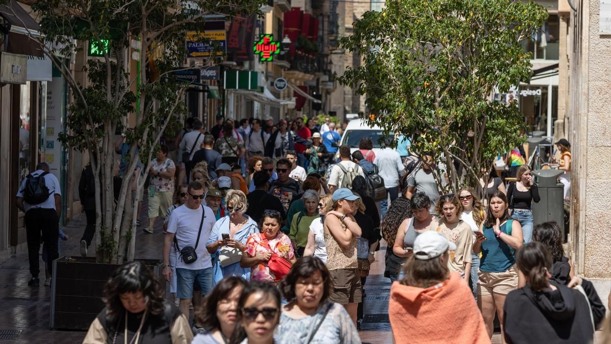 El Govern defensa les seves polítiques turístiques davant la cadena humana d'aquest dissabte: "Som conscients del malestar"