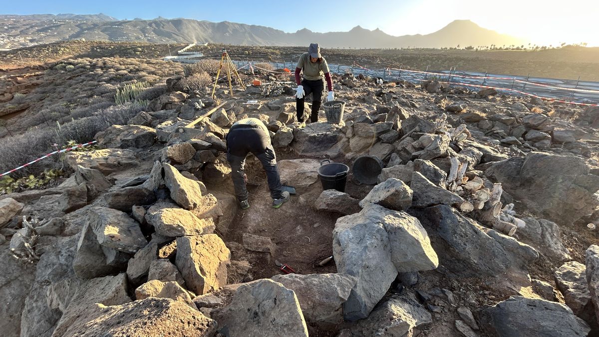 Dos arqueólogos excavan los restos de una estructura guanche, probablemente una cabaña. Arqueocanaria