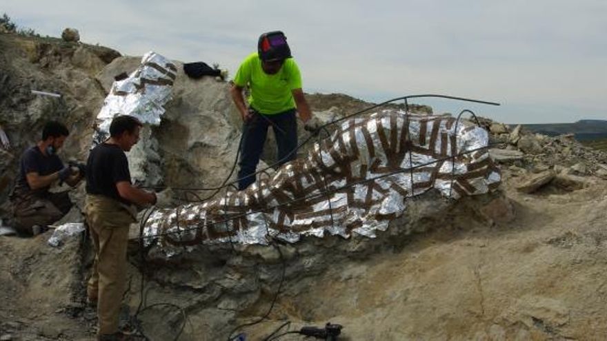 Paleontólogos terminando de preparar las momias para su extracción con la máquina giratoria