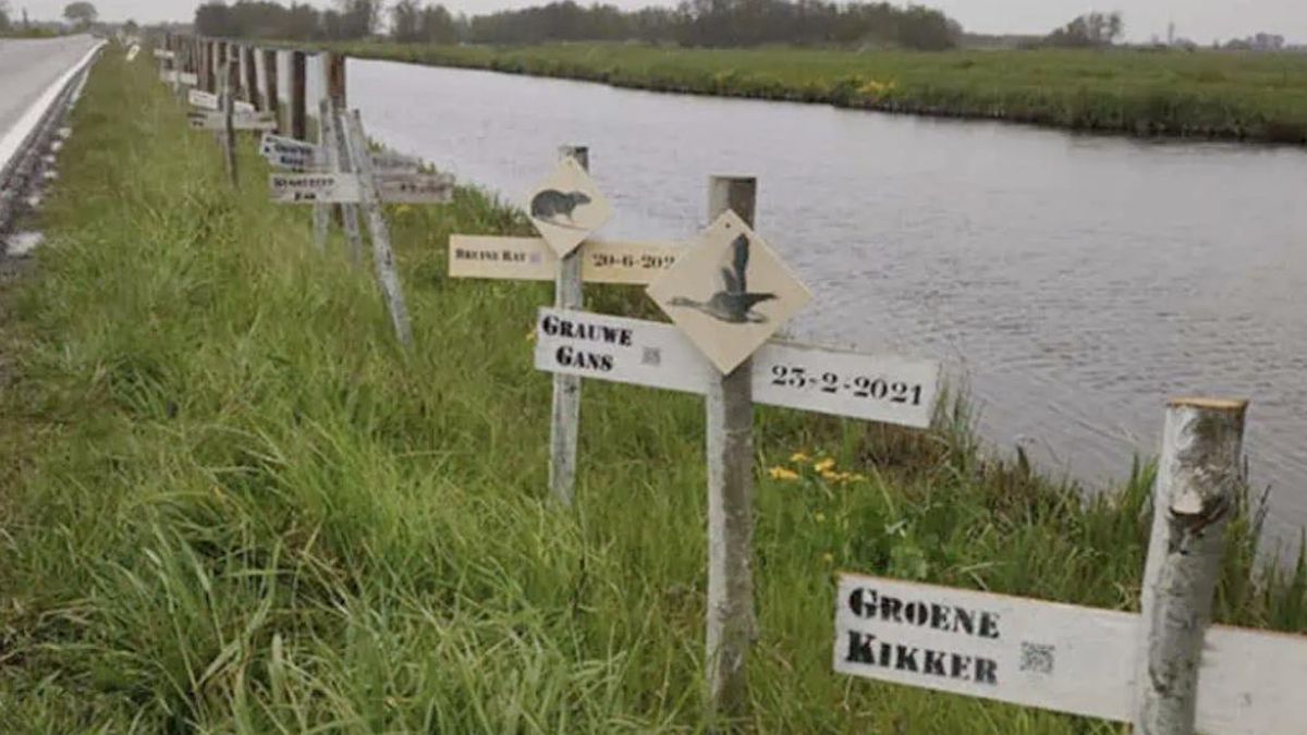 Las cruces aparecieron y alguien las quitó