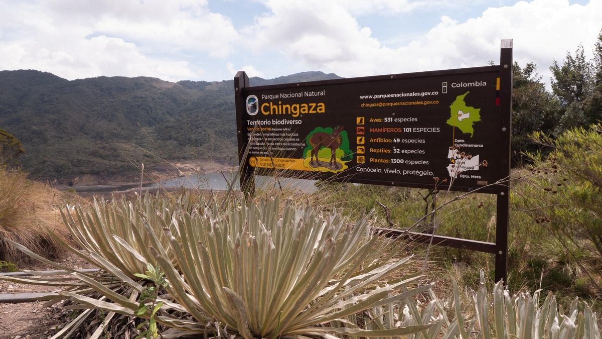 Parque Nacional Natural Chingaza, en Colombia. Foto: cortesía Parques Nacionales Naturales de Colombia/Martín Cicuamía Suárez