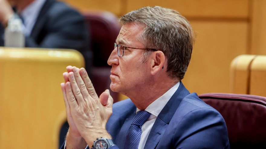 Archivo - El presidente del Partido Popular, Alberto Núñez Feijóo, durante una sesión de control al Gobierno en el Senado, a 9 de mayo de 2023, en Madrid (España). Durante esta sesión, Agrupación Socialista Gomera ha realizado una pregunta sobre los plane