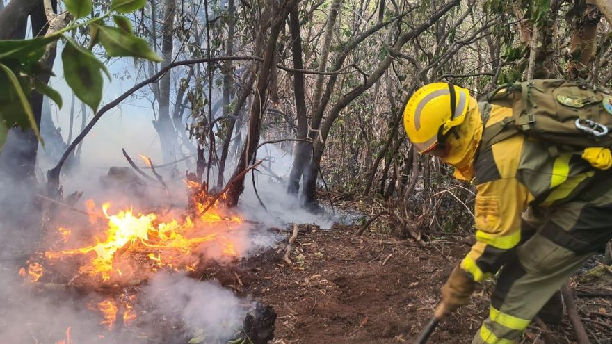 El incendio de Tenerife entra en una "situación compleja", sin precedentes en Canarias