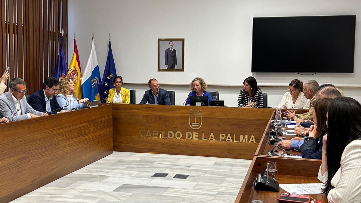 Reunión celebrada este lunes en el Cabildo de La Palma entre la Comisión de Discapacidad del Parlamento de Canarias, presidida por Ana Oramas, y colectivos y asociaciones que trabajan con personas con discapacidad.