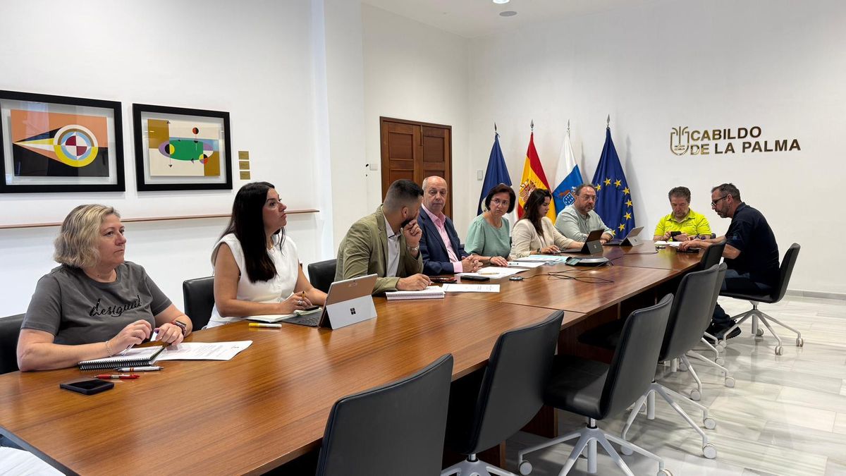 Comité Asesor del Plan de Emergencias Insular de La Palma (Peinpal)