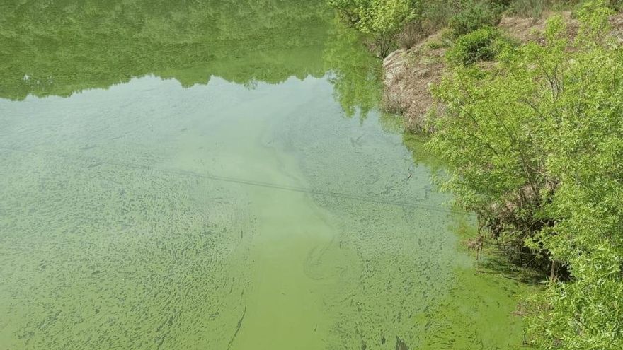 La Justicia condena a la Xunta y al Estado por la degradación del embalse de As Conchas que causan las macrogranjas