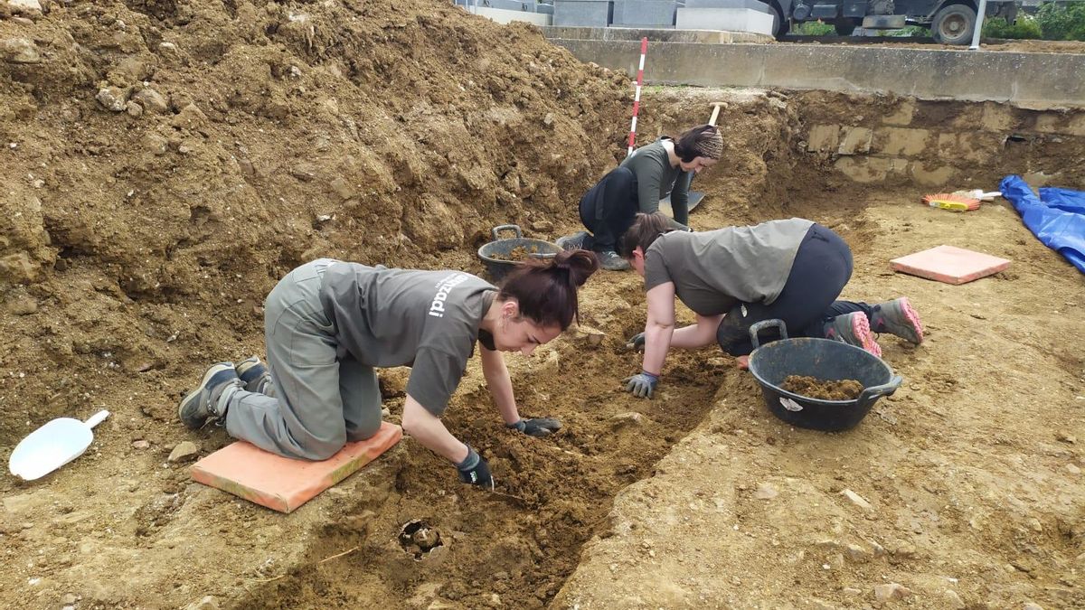 Identificadas dos víctimas de la represión franquista en las fosas del cementerio de Castuera