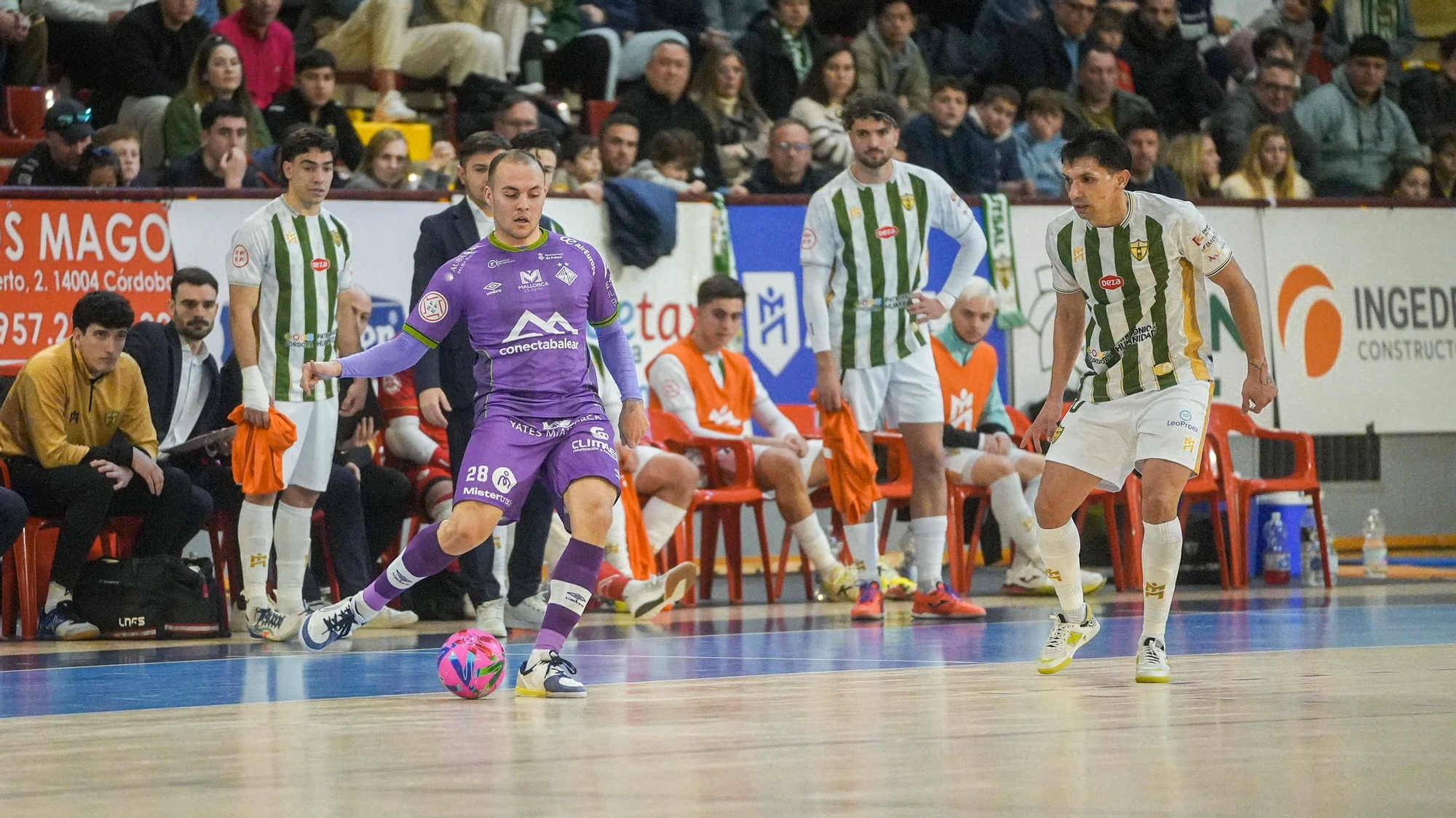 Córdoba Patrimonio de la Humanidad - Illes Balears Palma Futsal.