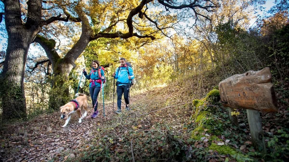 La recuperación vecinal de un ramal jacobeo olvidado para luchar contra la despoblación desde Agüero hasta Sos
