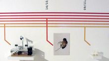 Drosophila Titanus, la mosca viajera de Andy Gracie