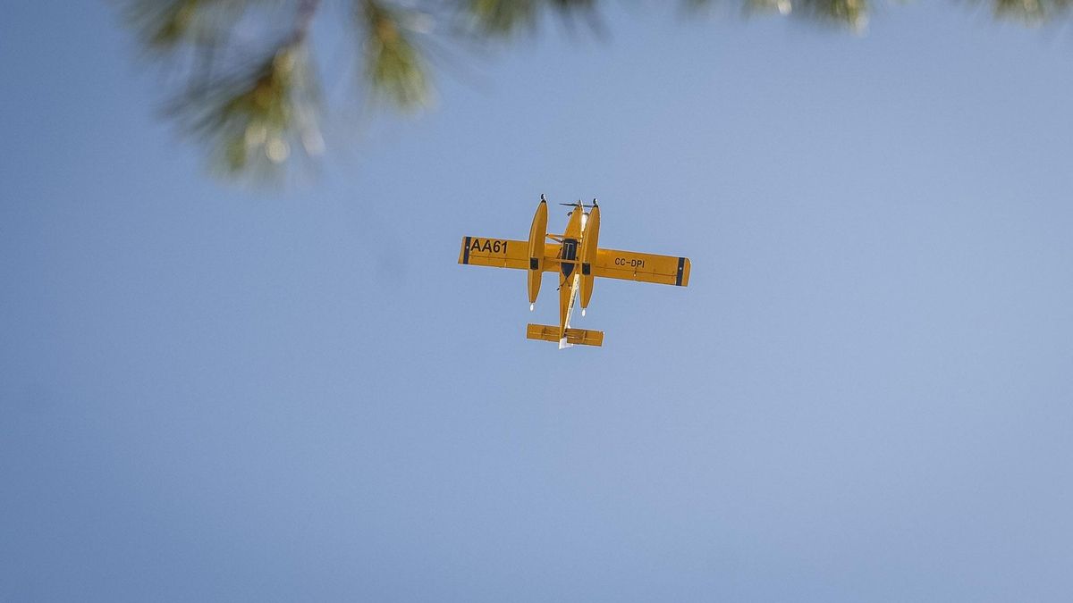 Efectivos luchando contra el incendio en la Sierra de Córdoba