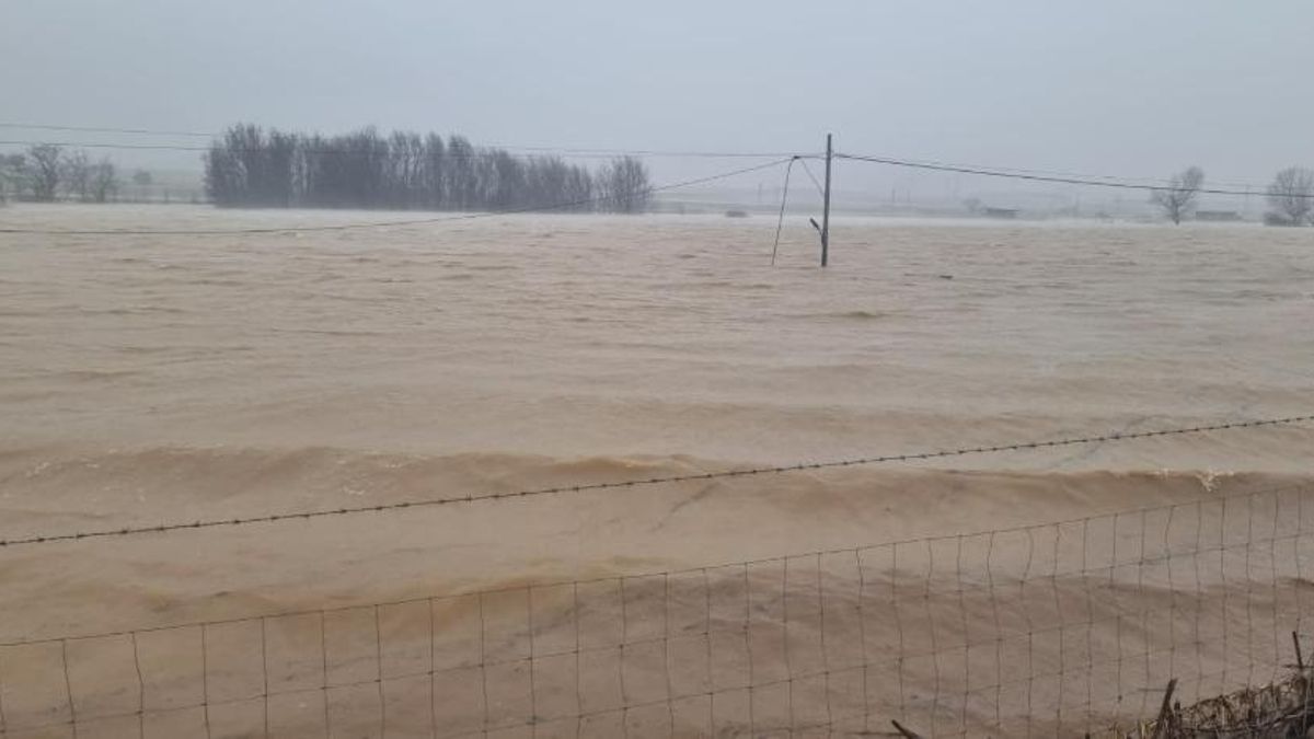 El temporal obliga a cerrar la perrera en Puertollano al desbordarse el río Ojailén