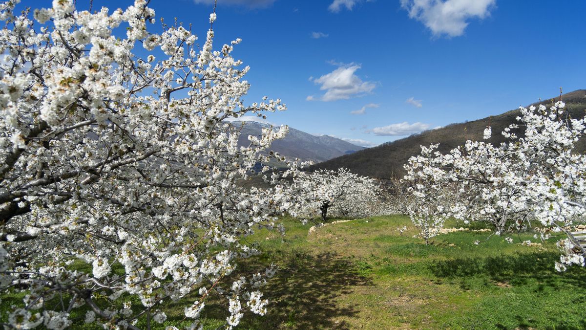 Viajar sin ruido: la revolución tranquila que nace en Extremadura