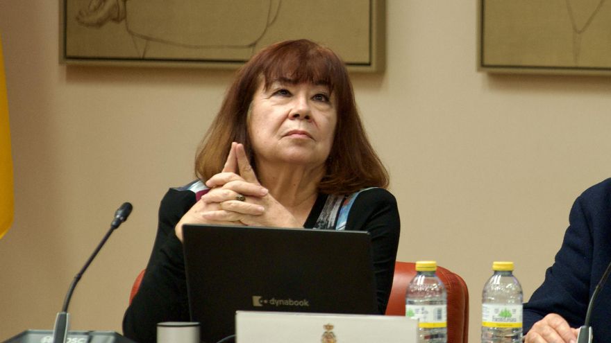 La presidenta de la Comisión de Transición Ecológica en el Congreso, Cristina Narbona. EFE/Mario Morón