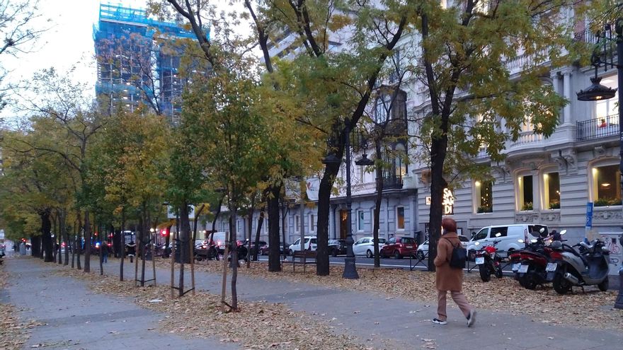 Tramo del paseo de la Castellana donde se ubicaría uno de los quioscos con terraza.