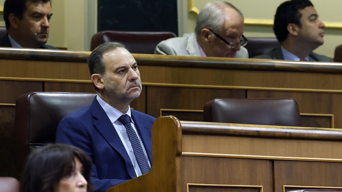 El diputado del grupo mixto José Luis Ábalos durante un pleno del Congreso. EFE/Javier Lizón