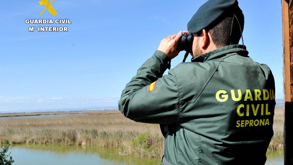 Investigadas seis personas por cazar sin autorización en varios cotos de la provincia de Teruel