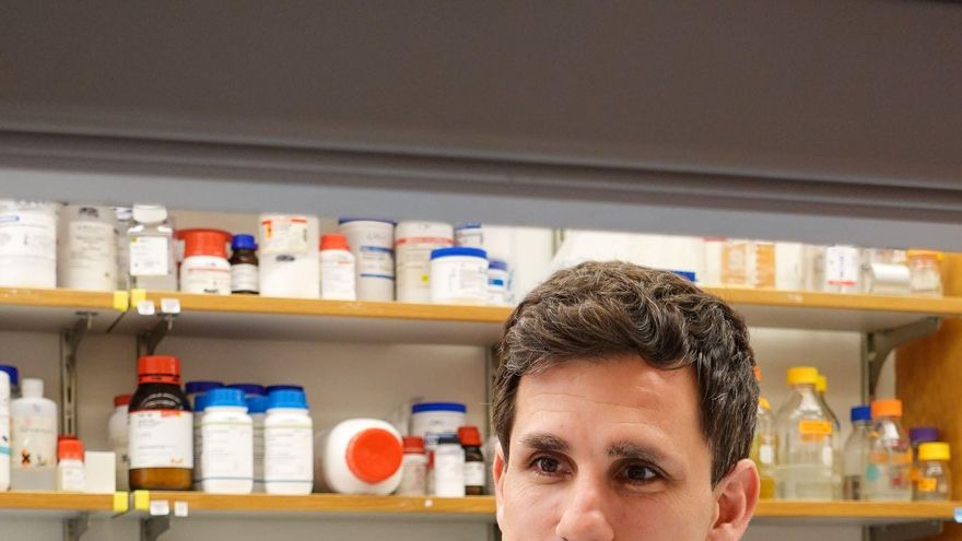 La IA identifica "una mina de oro" de potenciales antibióticos en las arqueas