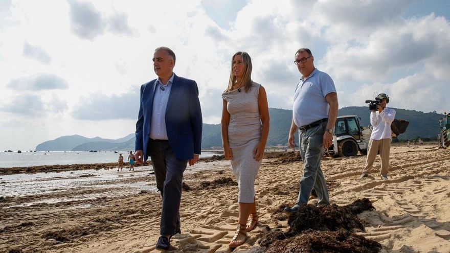 Cantabria califica de "problema medioambiental gravísimo" la invasión de alga asiática en Noja por ser un municipio turístico