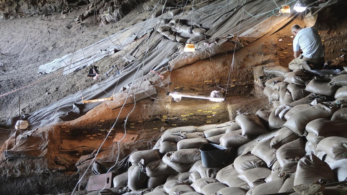 Las comunidades prehistóricas cuidaban sus zonas para dormir