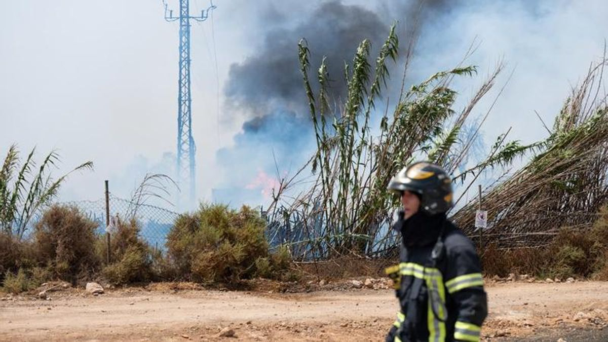Varias llamadas alertan de un incendio en una zona de cañaverales en Fuerteventura