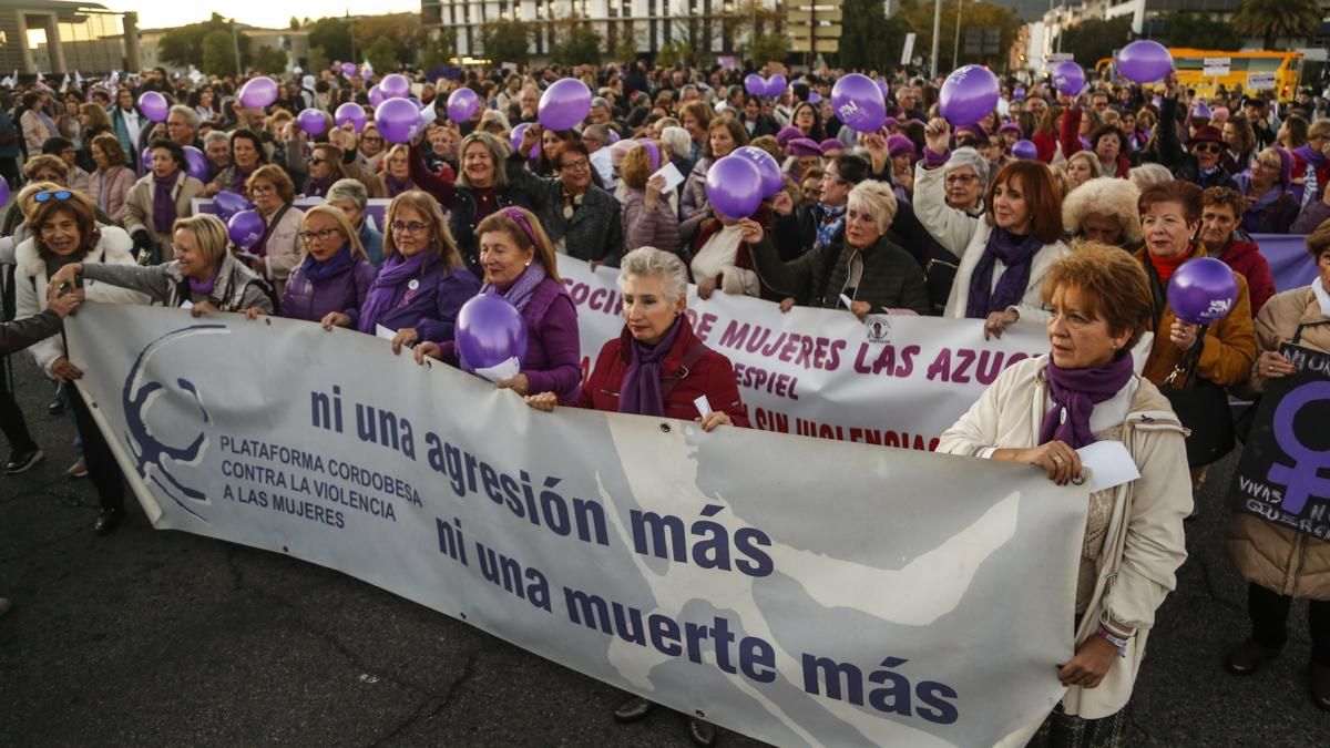 25N: Córdoba llama a la unidad con mensajes a la juventud para que no reproduzca la violencia machista