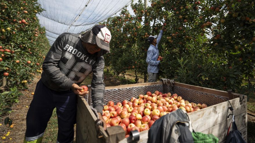 Extranjeros en el campo español: una presencia necesaria que exige cambios y garantías