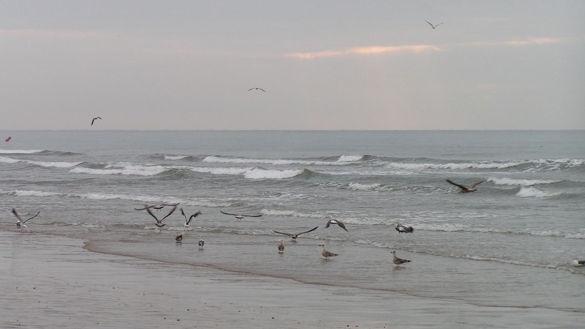 Playa de Nueva Umbría