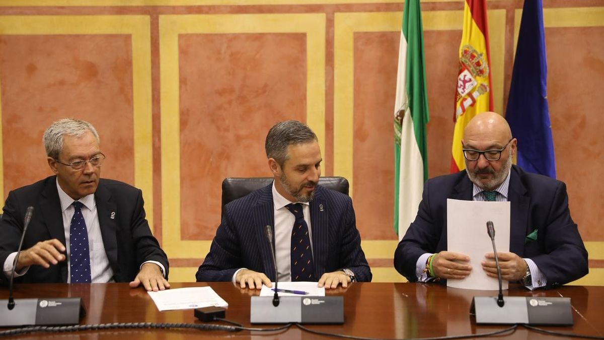 PP-A, Cs y Vox acuerdan para 2020 deducción fiscal a familias numerosas y asistencia a embarazadas en dificultades