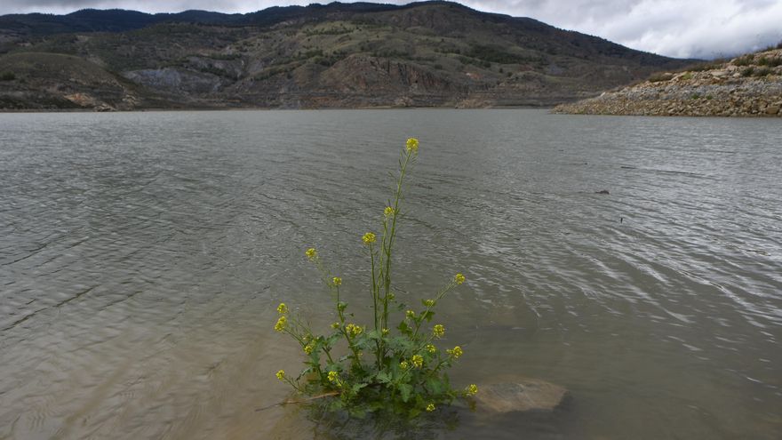 La reserva hídrica se encuentra al 76, 4 %, con las cuencas del País Vasco al 100 %