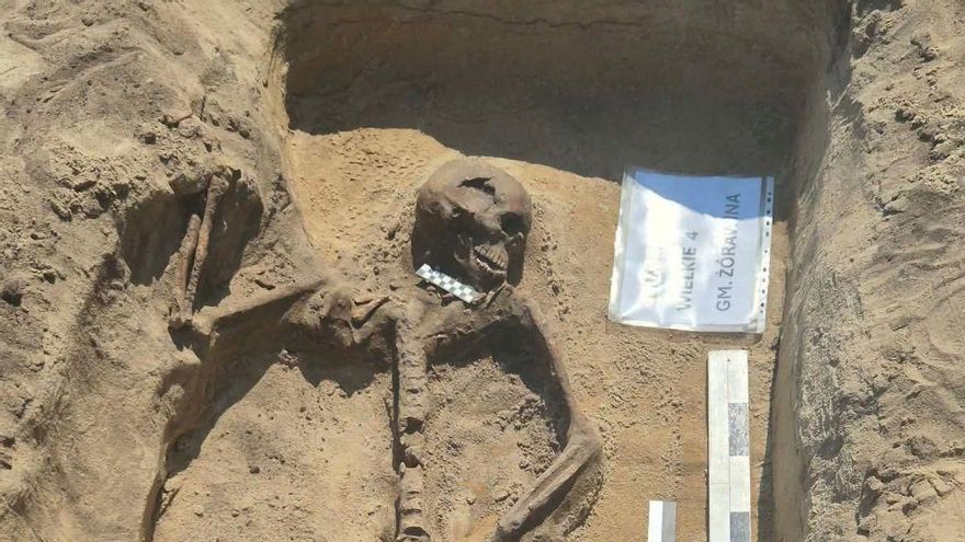 Un esqueleto junto a un collar de 42 dientes y un hacha de guerra: la inusual tumba que ha aparecido en Polonia