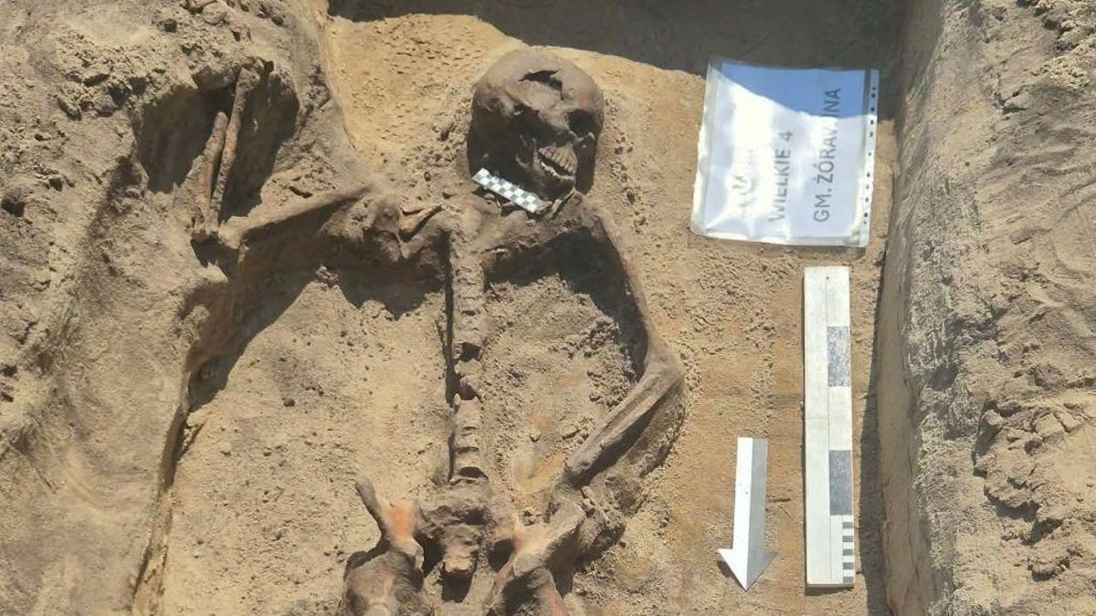 Un esqueleto junto a un collar de 42 dientes y un hacha de guerra: la inusual tumba que ha aparecido en Polonia
