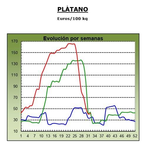Evolución de los precios medios percibidos por el platanero canario en 2023 (marca azul), 2024 (verde) y 2025 (roja, hasta la semana 32).