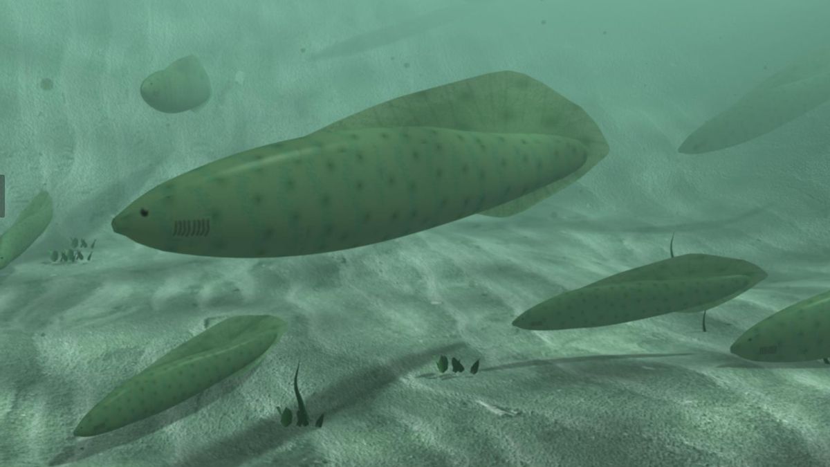 Los cuatro ojos de aquellos peces primitivos ofrecían una vista panorámica capaz de detectar movimientos a ambos lados