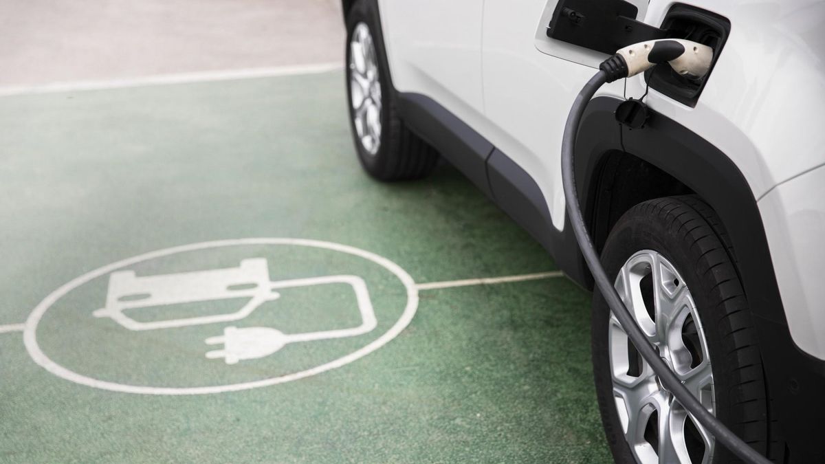 Euskadi arranca al Estado 50 millones extra para ampliar las ayudas a la compra de coches eléctricos