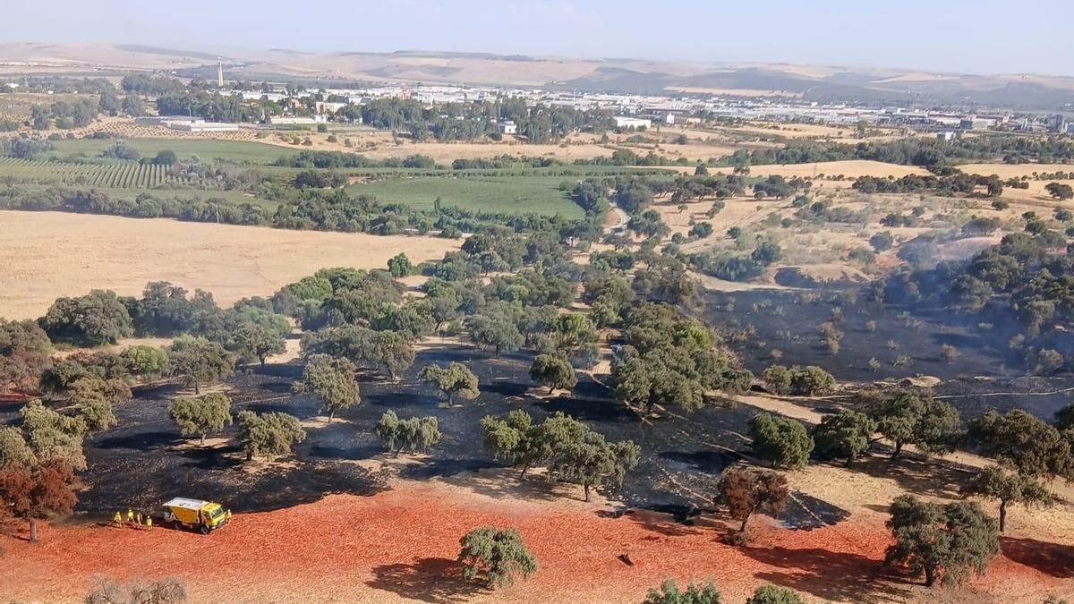 El Infoca da por extinguido el incendio forestal declarado en Córdoba