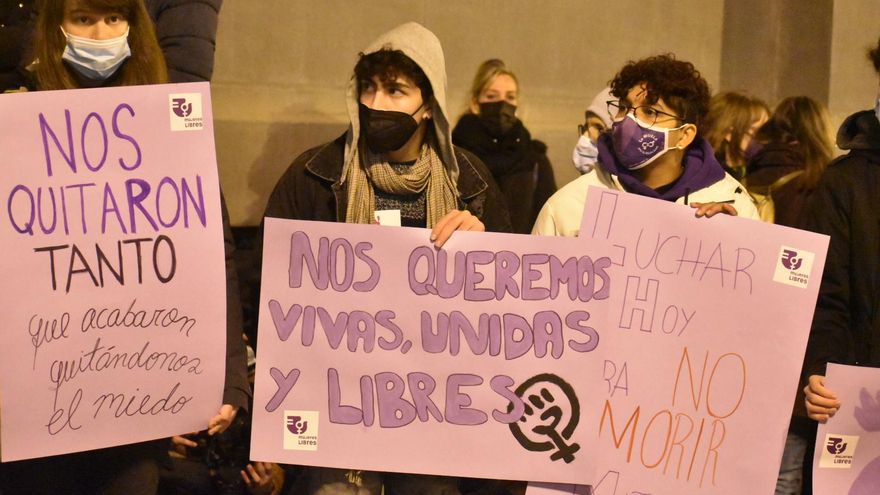 Pancartas de algunos asistentes a la manifestación del 25N en Zaragoza