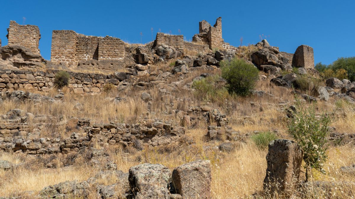 Yacimiento de Ciudad de vascos.