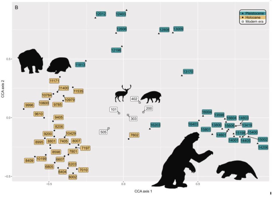 La reducción de grandes herbívoros favorece que los incendios sean más frecuentes en los paisajes