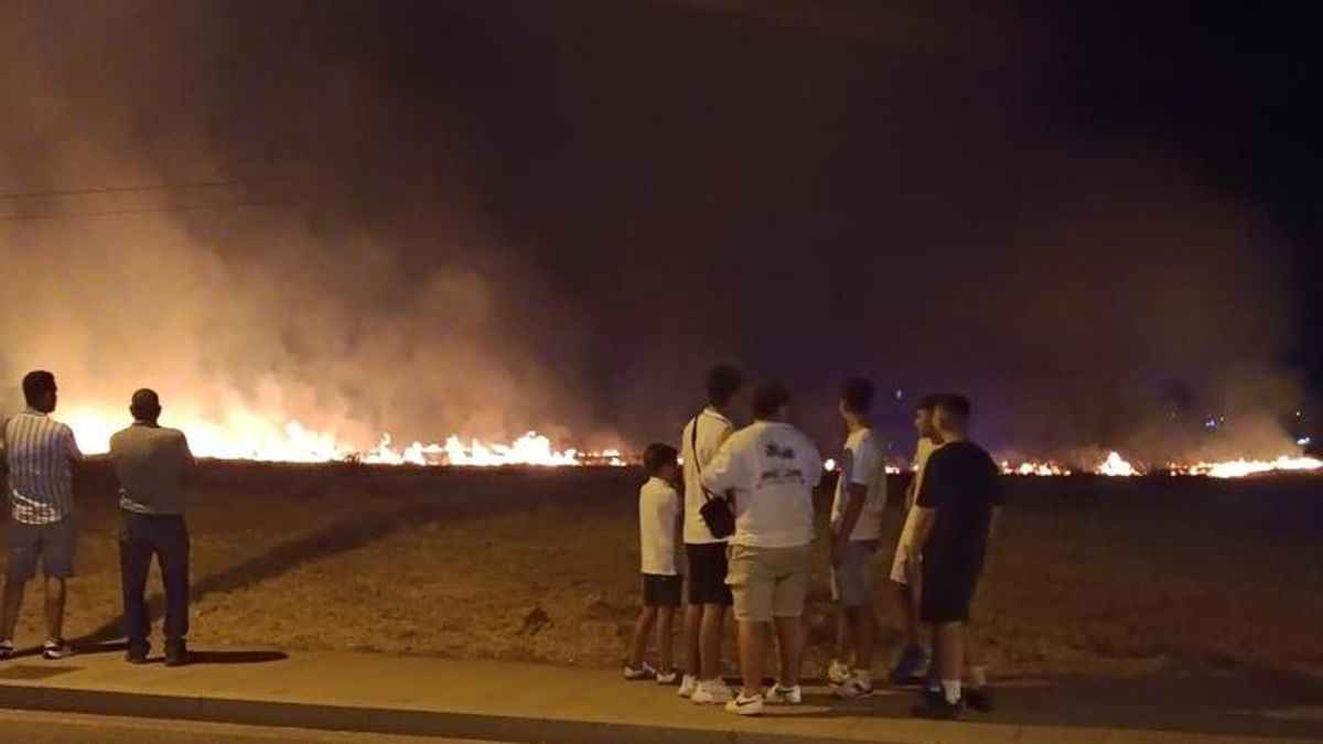 Un aparatoso incendio de pastos en la zona de botellón de la Feria de Alcolea