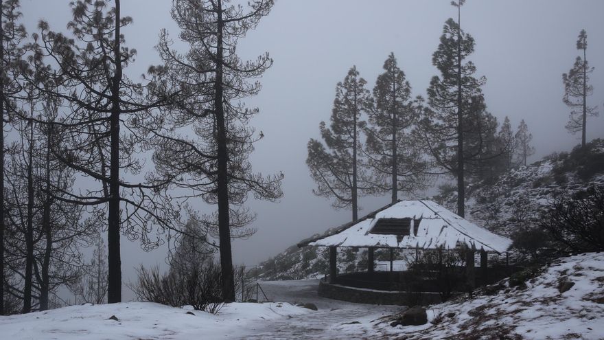 FOTOGALERÍA | La nieve se adueña de la cumbre de Gran Canaria