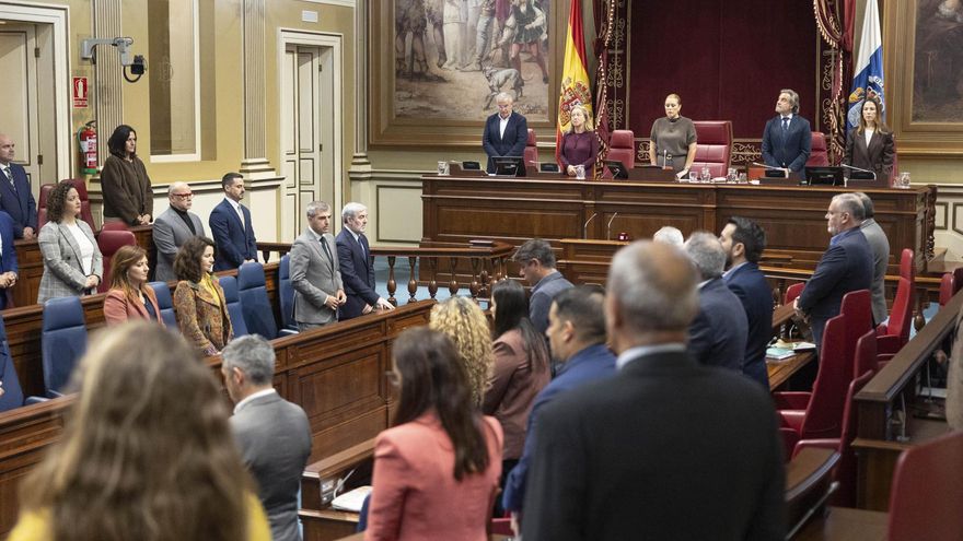 Todos los grupos, salvo Vox, respaldan las propuestas del Gobierno canario para defender el acervo RUP en la UE