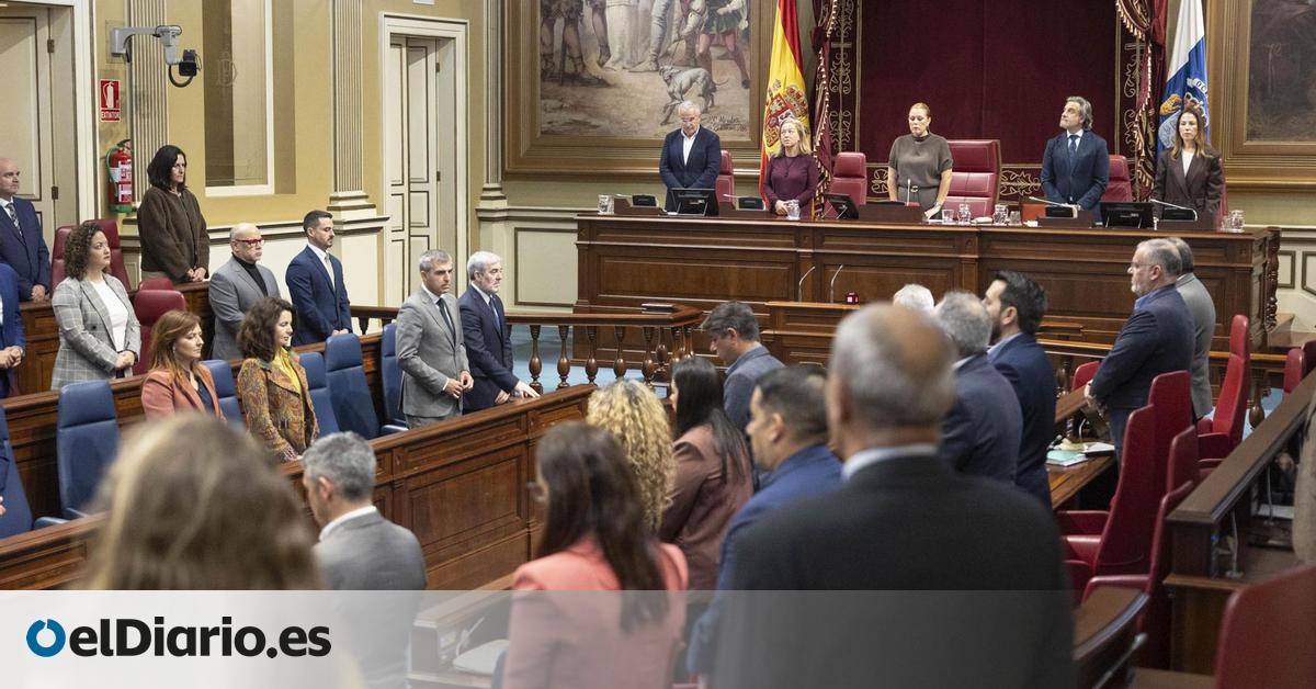 Todos los grupos, salvo Vox, respaldan las propuestas del Gobierno canario para defender el acervo RUP en la UE