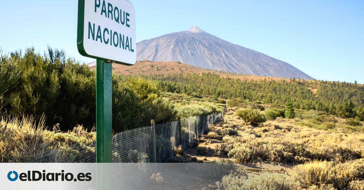 El Cabildo de Tenerife aprueba un acuerdo para coordinar medidas preventivas ante el riesgo volcánico