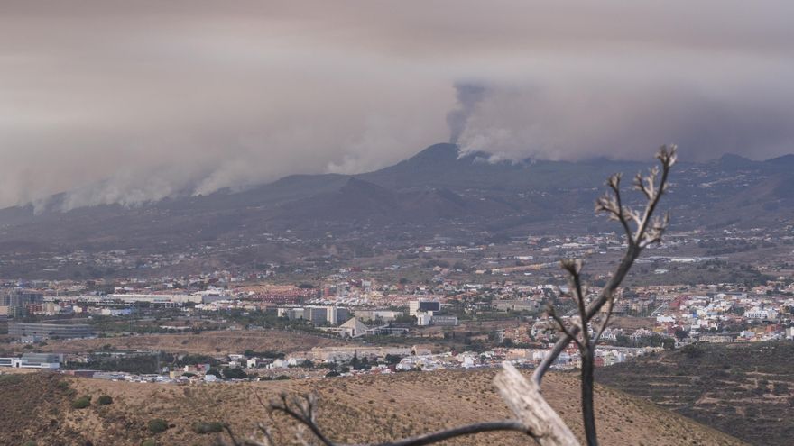 El Cabildo de Tenerife da por extinguido el incendio forestal del pasado verano