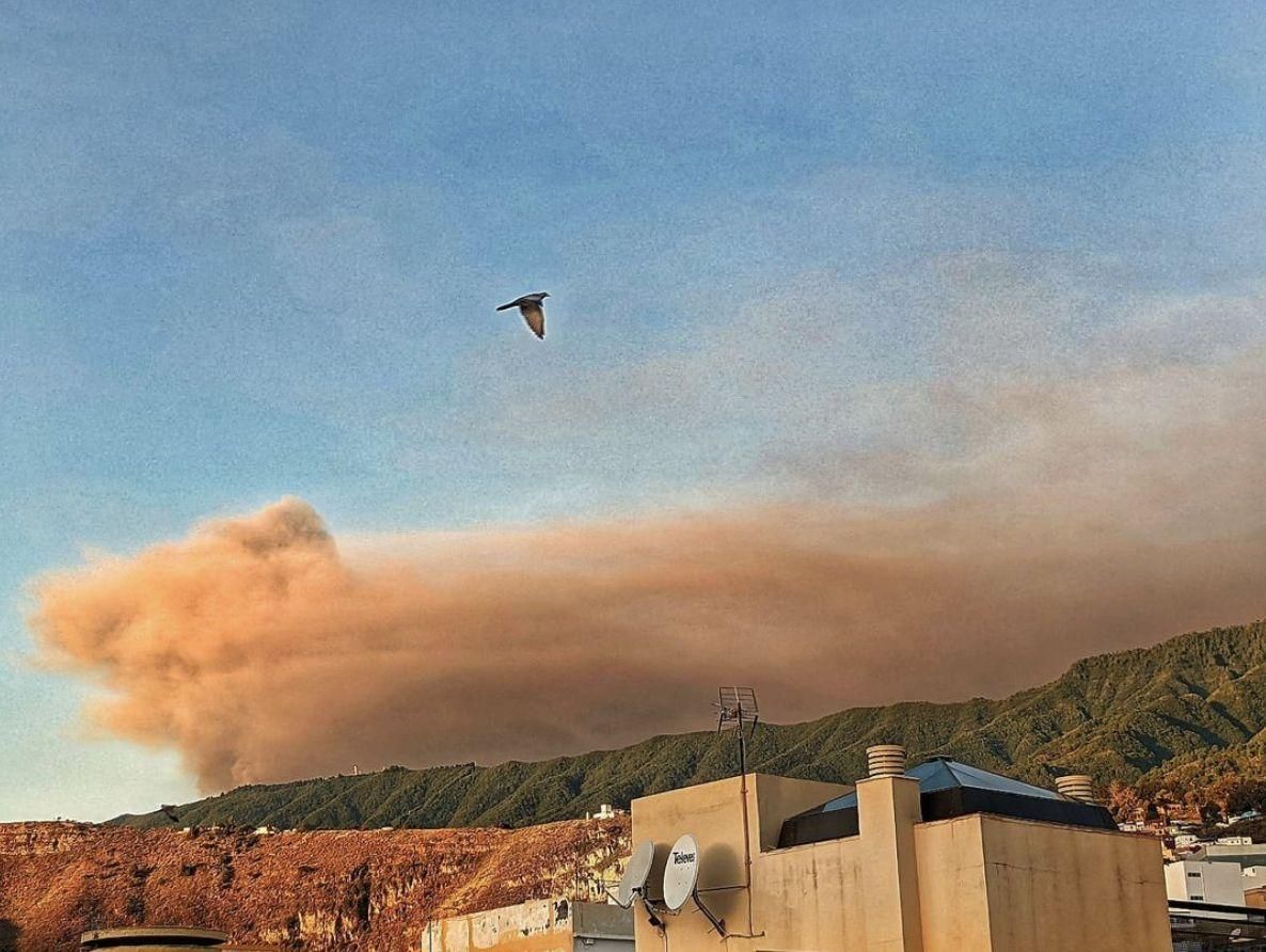 La nube de ceniza del volcán,  este sábado, sobre la hilera de Cumbre Vieja.