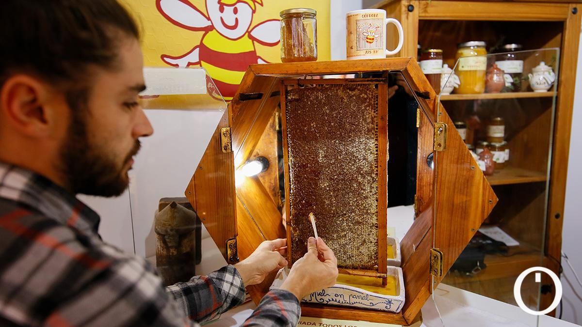 Inauguración de Expomiel 2022 en la Diputación de Córdoba