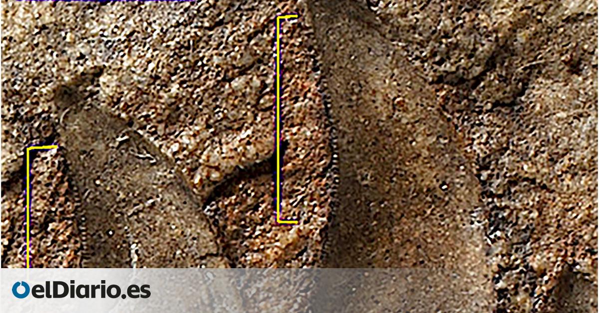 Un fósil olvidado en un bloque de arenisca revela un nuevo género de dinosaurio carnívoro